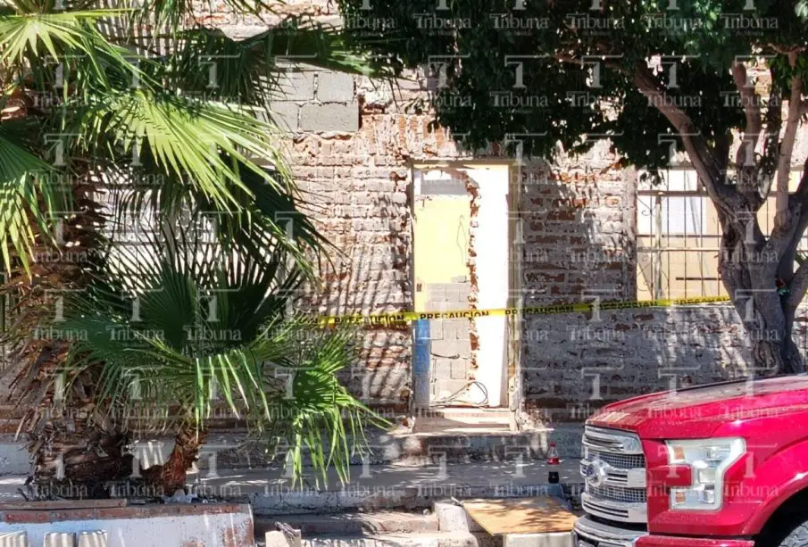 Hallan restos óseos en obra de remodelación en La Paz