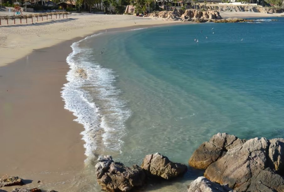 Playa El Chileno: el oasis de tranquilidad en Los Cabos