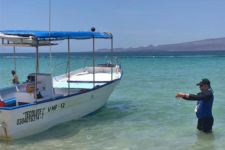 Playa El Tecolote en condiciones de higiene óptimas, LESP