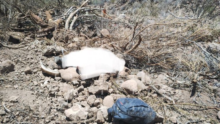 Sin identificar hombre fallecido tras caer a barranco