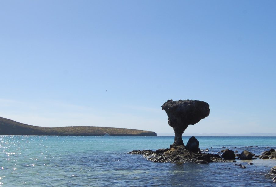 Vacaciones de verano en Playa Balandra, actividades imperdibles