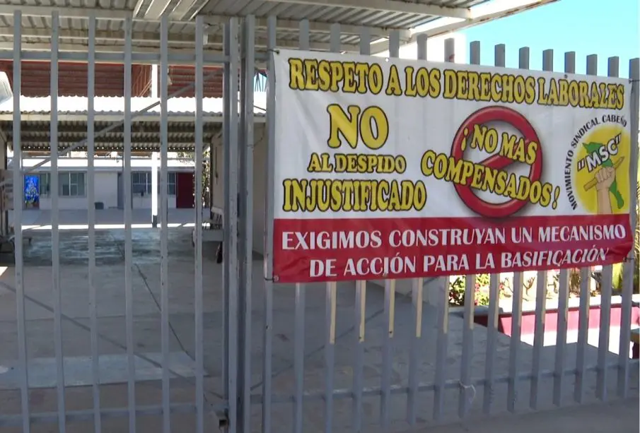 Maestros exigen basificación