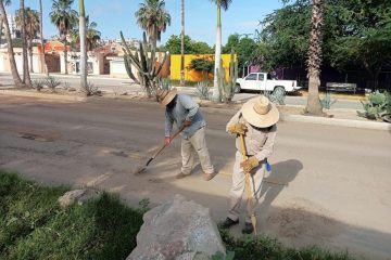 Limpieza y desasolve continúan en Los Cabos tras el paso de la tormenta Ileana