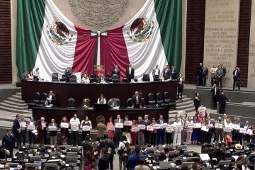 Reforma al Poder Judicial constitucional Diputados (Video)