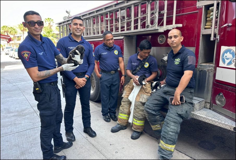 Bomberos.