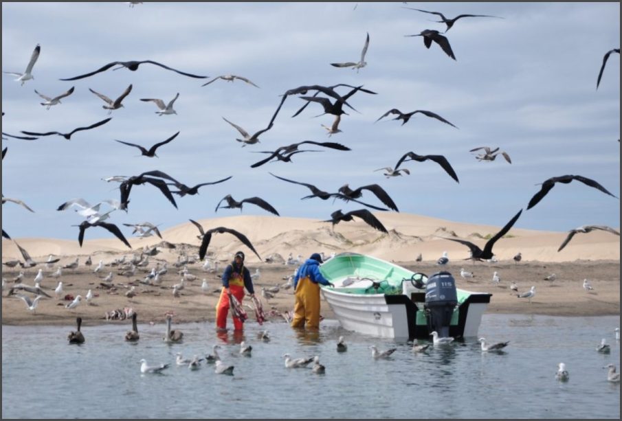 Golfo de Ulloa