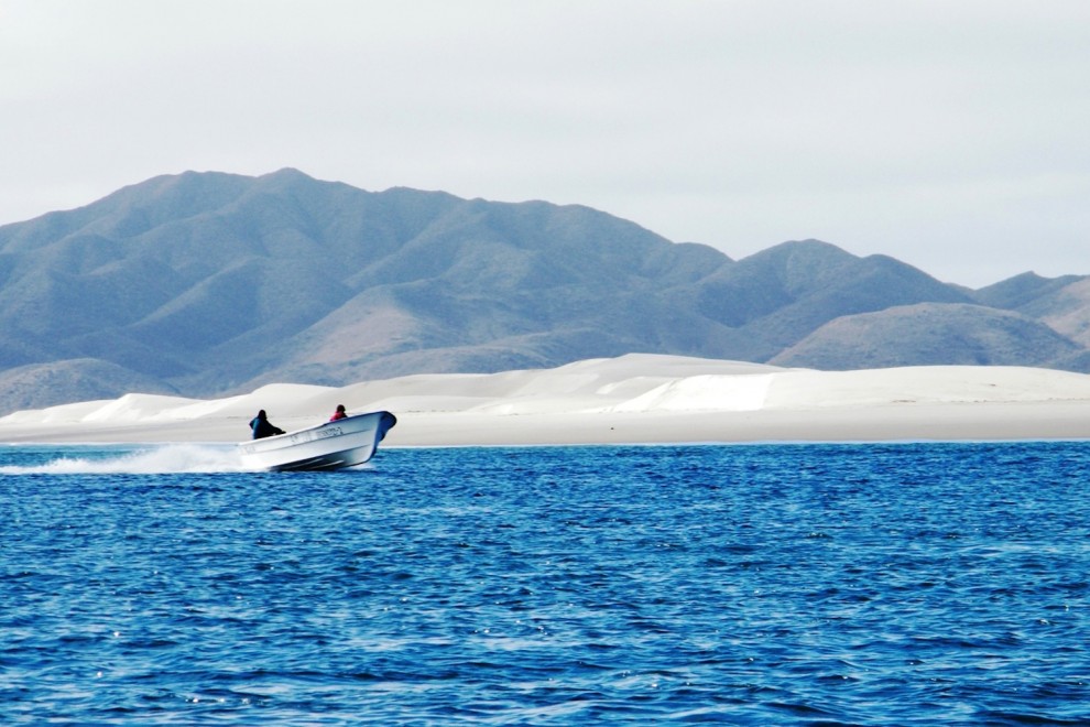 Golfo de Ulloa