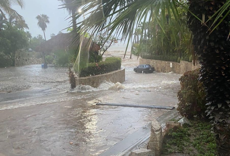 Tormentas por Ileana.