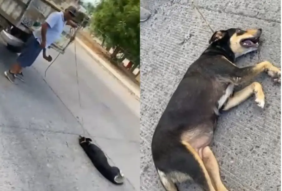 Por arrastrar a perrita un hombre es vinculado