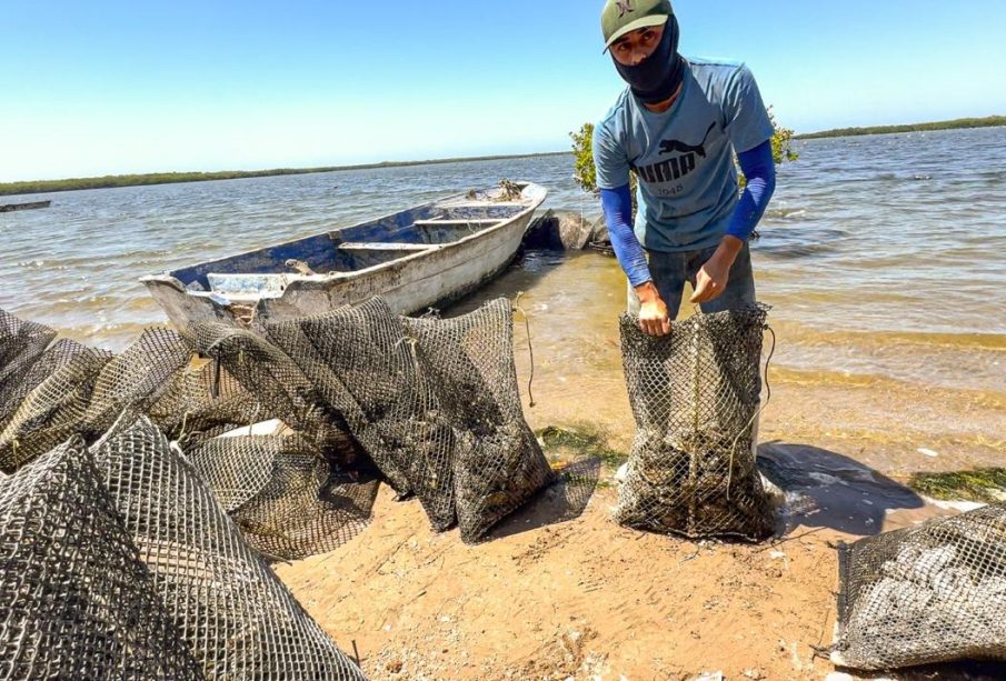 Pescador