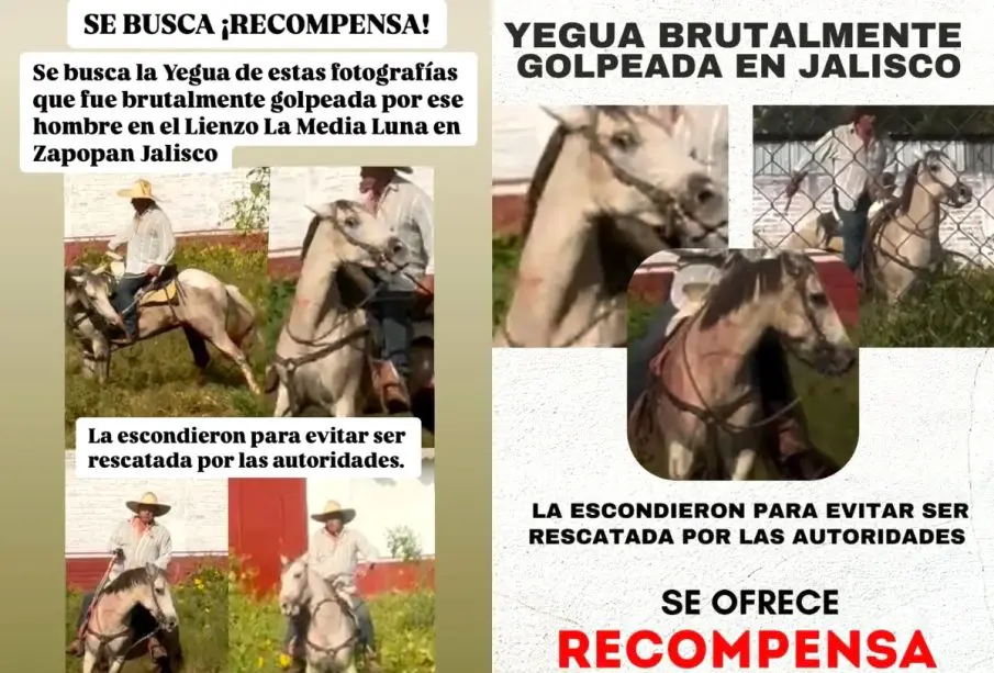 Brutal golpiza animal en Zapopan
