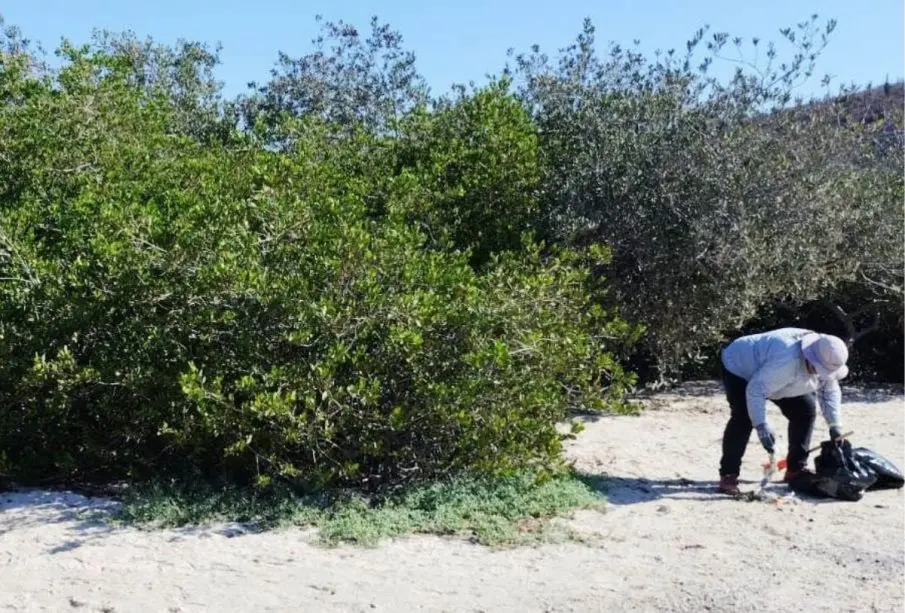 Playa Pichilingue