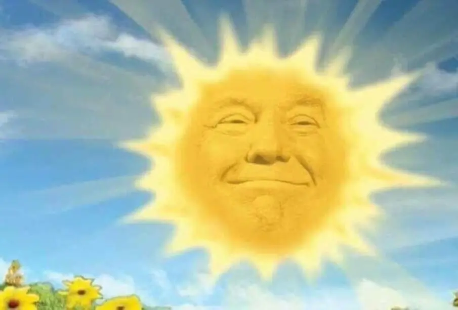 Memes de Donald Trump gana las elecciones en Estados Unidos