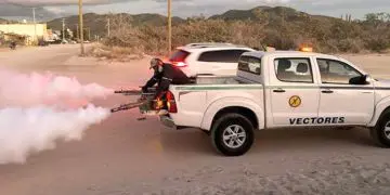 Vectores fumigan contra el dengue en San José del Cabo