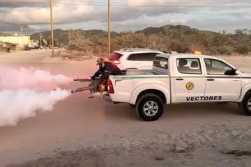 Vectores fumigan contra el dengue en San José del Cabo