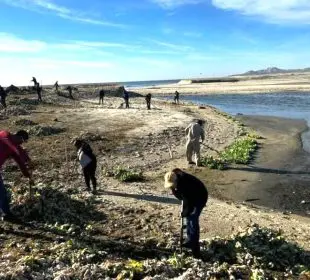 Estero de San José del Cabo