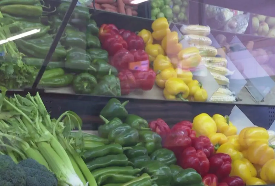 García Ortega destacó el impacto positivo de la nutrición en la vida de muchas personas con las que ha trabajado