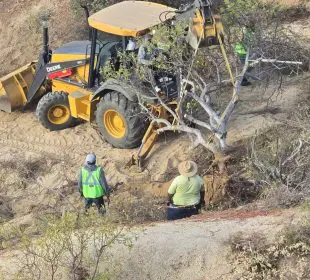 Denuncian desmonte ilegal en la zona del Tule