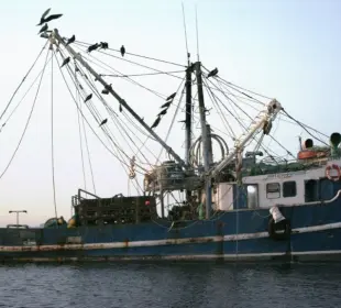 Barco camaronero 200 MILLAS II en la bahía de La Paz