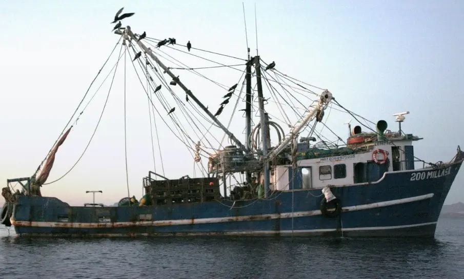 Barco camaronero 200 MILLAS II en la bahía de La Paz