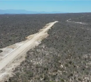 Autoridades federales localizaron una pista aérea ilegal en Palo Escopeta, Los Cabos.