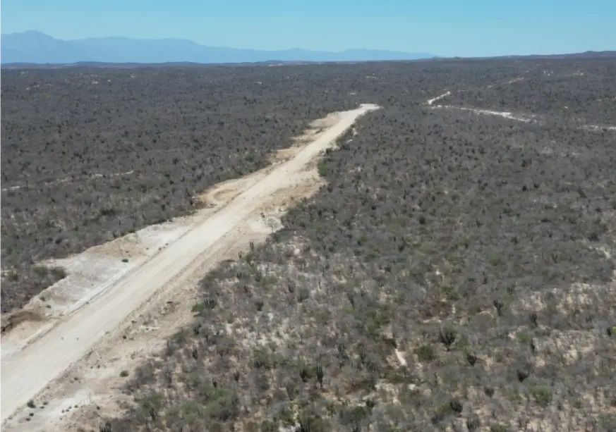 Autoridades federales localizaron una pista aérea ilegal en Palo Escopeta, Los Cabos.
