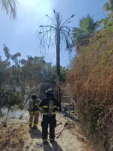 De forma extraoficial, se señaló que el fuego pudo haber sido provocado por un grupo de estudiantes, aunque esto no ha sido confirmado.