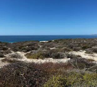 Ayuntamiento de Los Cabos se deslinda de la reapertura del camino costero