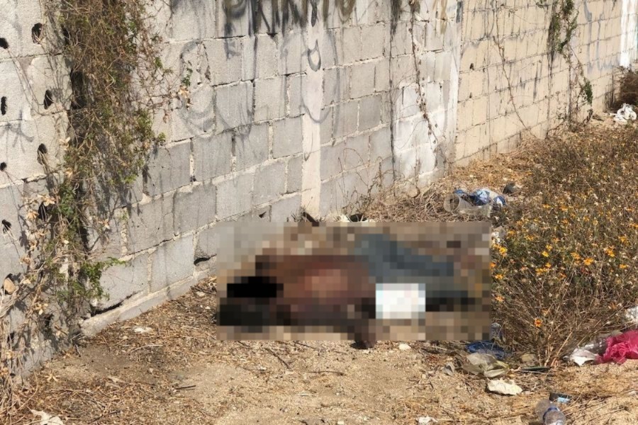 La PGJE confirmó el hallazgo de un hombre sin vida en la colonia El Médano, en Cabo San Lucas. El cuerpo fue localizado cerca de los departamentos Coromuel; se esperan resultados de la necropsia.