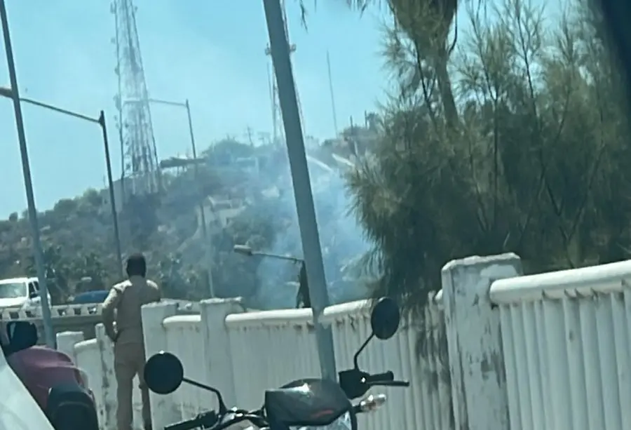 Imágenes enviadas a este medio muestran una columna de humo en la zona del Estero josefino.