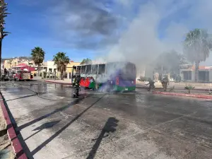 Afortunadamente, no se reportaron personas lesionadas. Al lugar acudieron unidades del Cuerpo de Bomberos de Cabo San Lucas, incluyendo las máquinas 27, 45 y 69, así como los vehículos de Rescate 64 y 65, para sofocar las llamas y asegurar la zona. También brindaron apoyo elementos de Seguridad Pública y de la Guardia Nacional.