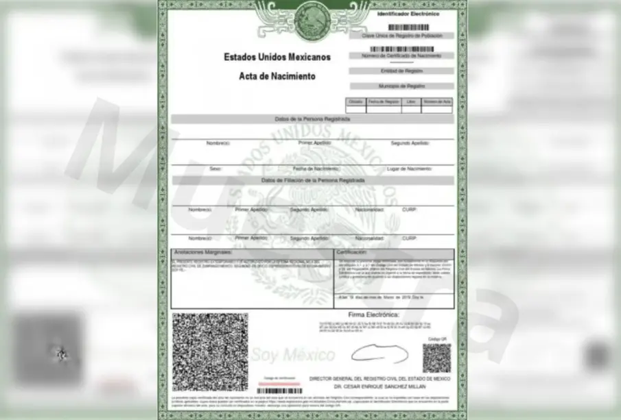 Acta de Nacimiento, ¿cómo obtenerla en línea?