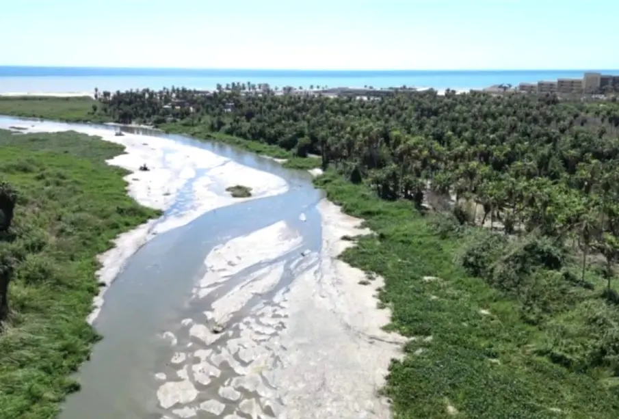 Estero San José del Cabo
