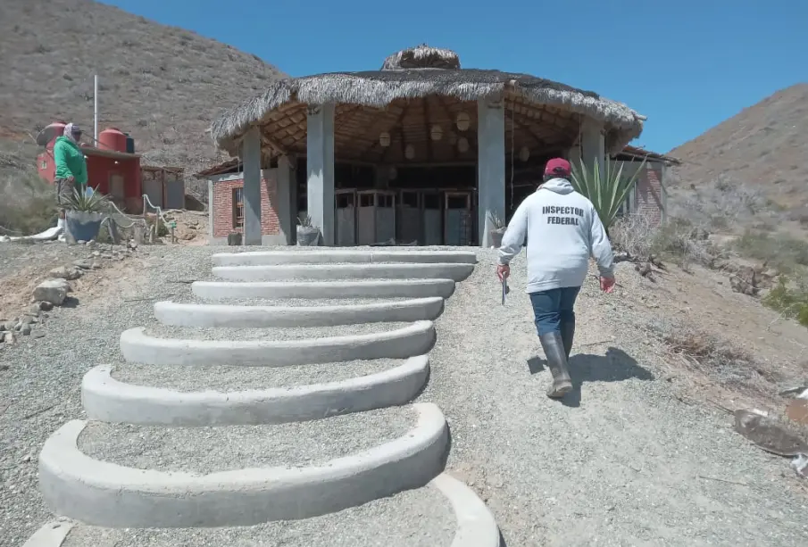 Detectan obas irregulares en Isla Magdalena