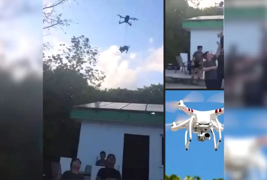 Perrito en dron en Quintana Roo