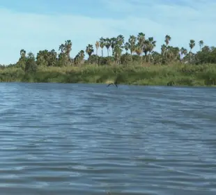 UABCS impulsa la creación de un fidecomiso para salvar el estero
