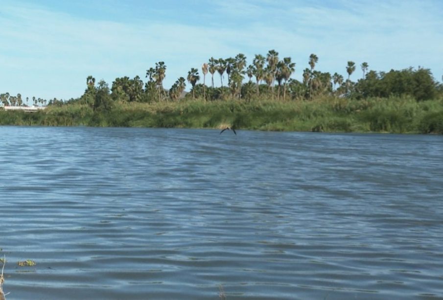 UABCS impulsa la creación de un fidecomiso para salvar el estero