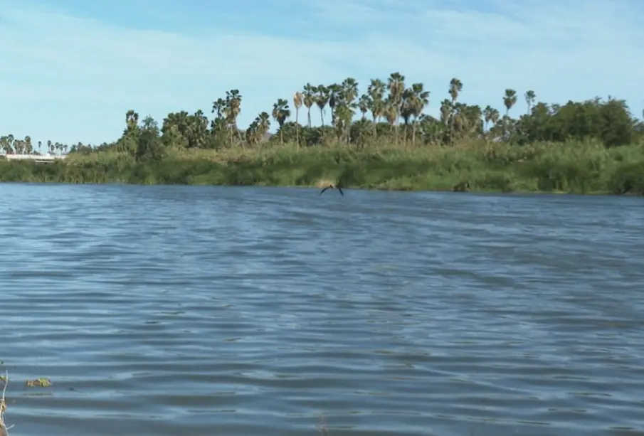 UABCS impulsa la creación de un fidecomiso para salvar el estero