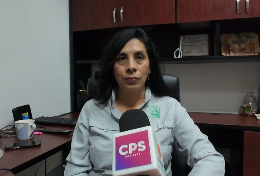 La directora general del Organismo Operador Municipal del Sistema de Agua Potable, Alcantarillado y Saneamiento (OOMSAPAS) de La Paz, Zulema Lazos Ramírez