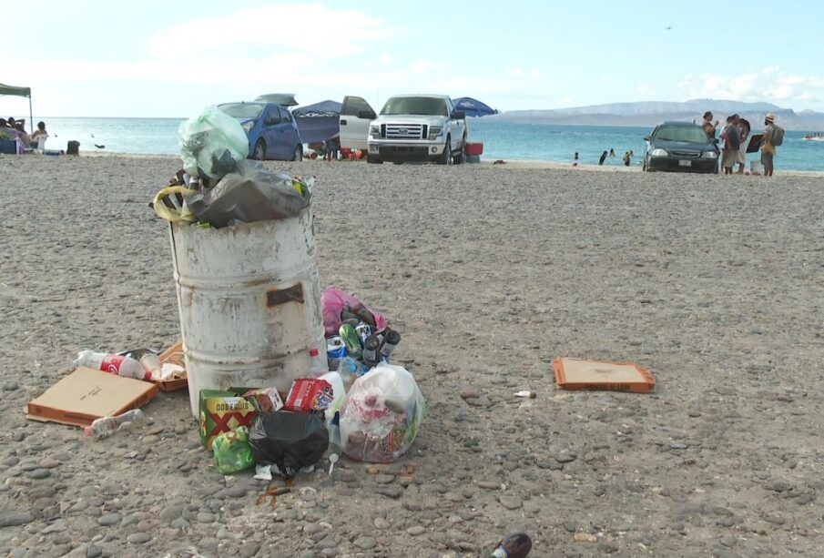 Limpieza de playas en La Paz