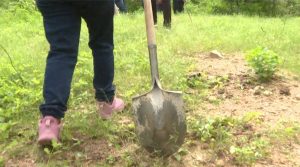 Son mujeres que, ante la desaparición de sus hijos, se han convertido en rastreadoras, enfrentando el calor, el cansancio y la indiferencia con un solo objetivo: traerlos de vuelta a casa, vivos o no.
