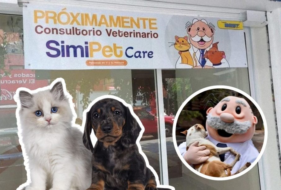 Foto del anuncio de la SimiPet Care