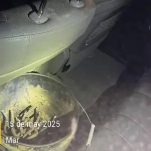 nformación extraoficial indica que se localizó el vehículo involucrado en el hecho que en el interior contaba con "ponchallantas".
