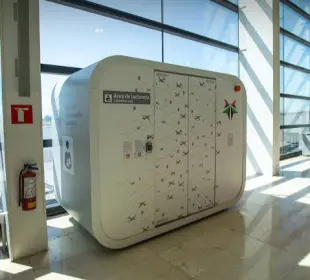 Aeropuerto de Los Cabos instalará cabinas de lactancia para pasajeras 