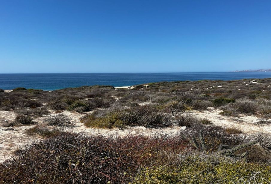 Grupo Vidanta logra suspensión contra recuperación de camino costero en Los Cabos