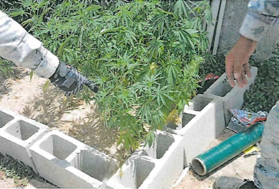 Droga en narcorancho en Los Cabos