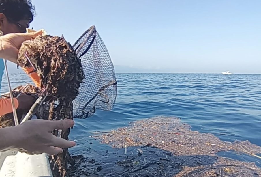 Islas de Plástico amenazan los océanos globales