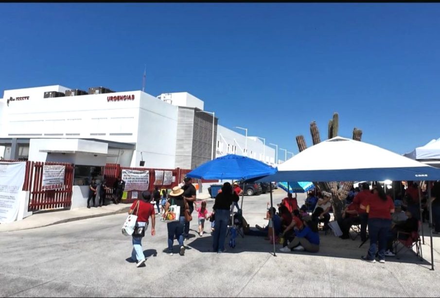 Maestros de Cabo San Lucas