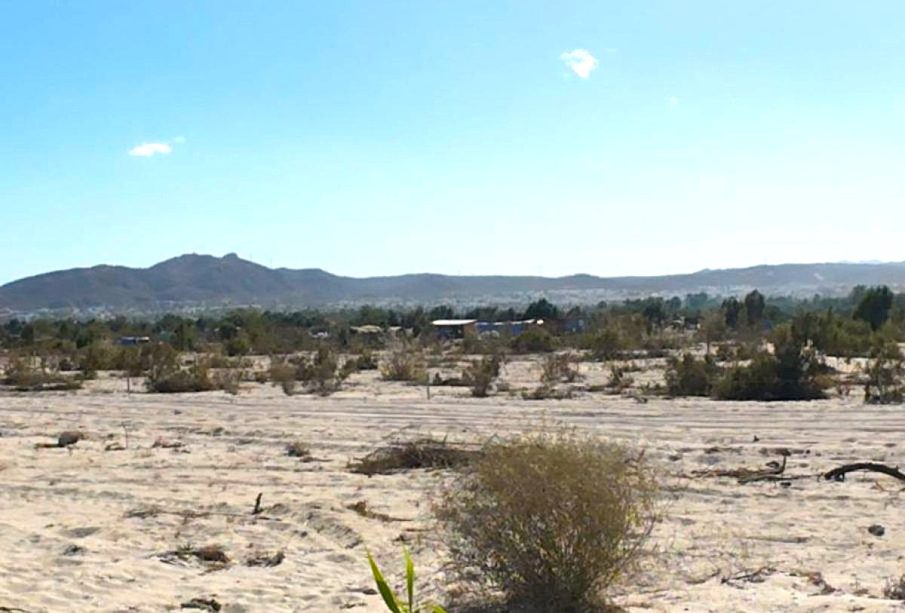 Arroyo San José, BCS