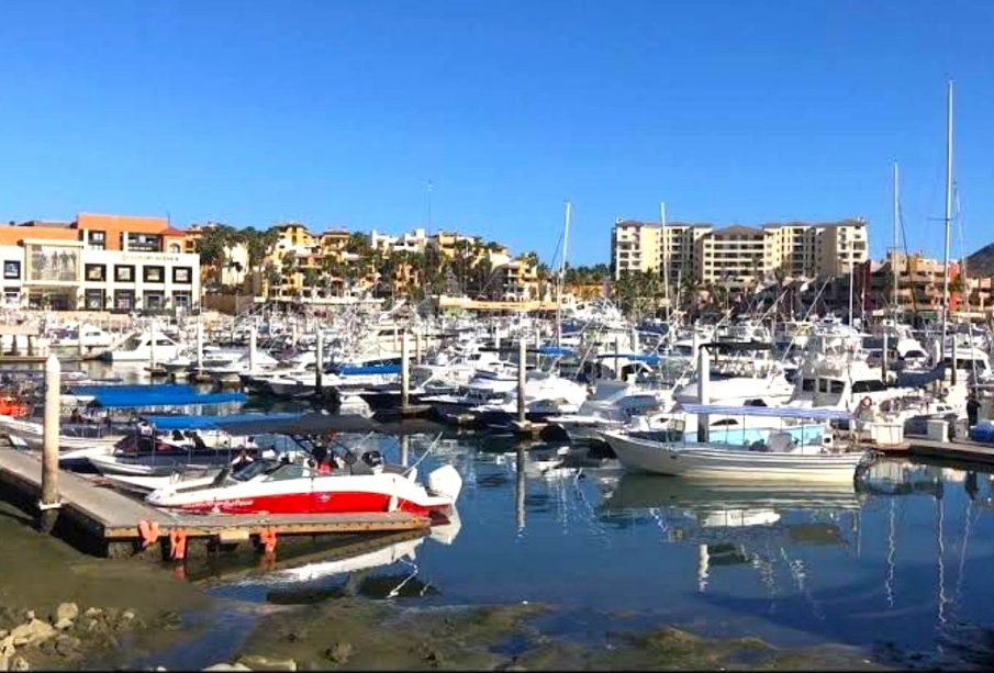 Marina de Los Cabos